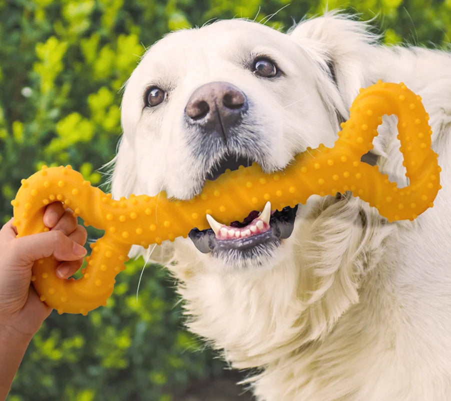 Durable Chew Sticks for Large Dogs