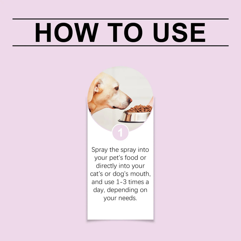 Teeth & Breath Care Spray