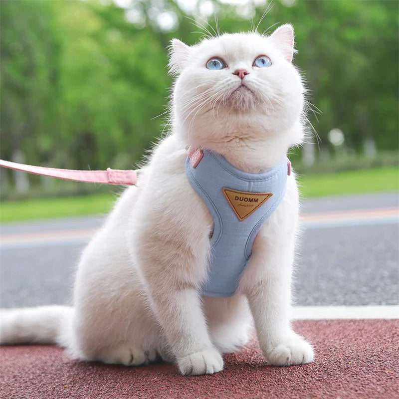 Breathable Pet Harness & Leash Set for Cats & Small Dogs