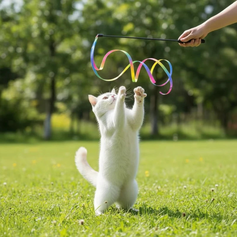 Rainbow Strips Cat Teaser Wand