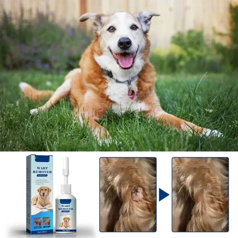 Daily Moisturizing Skin & Coat Liquid