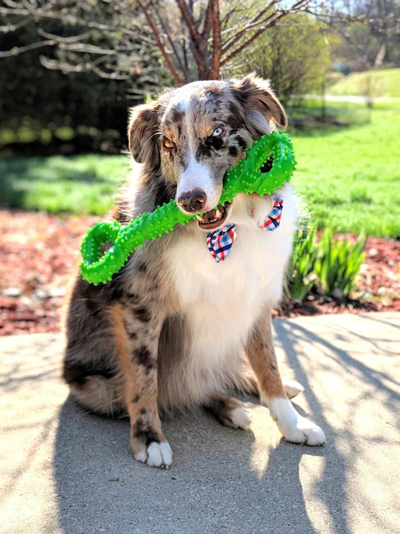 Durable Chew Sticks for Large Dogs