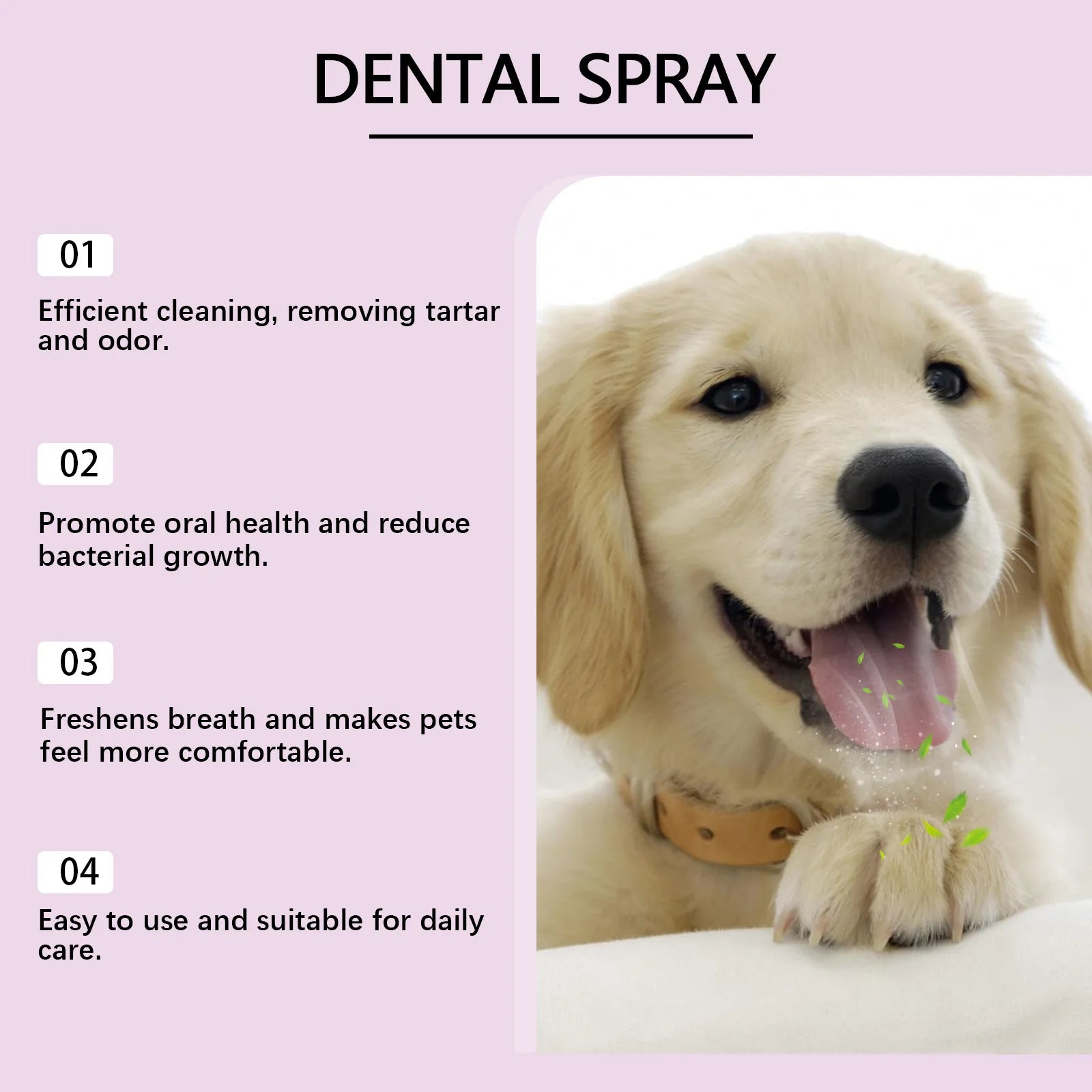 Teeth & Breath Care Spray