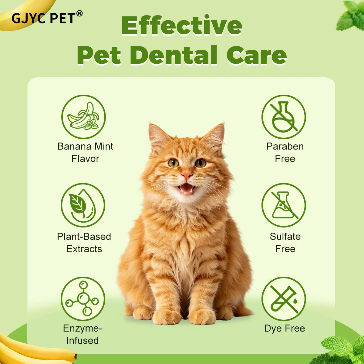 3-Piece Dental Care Kit (Banana Mint)