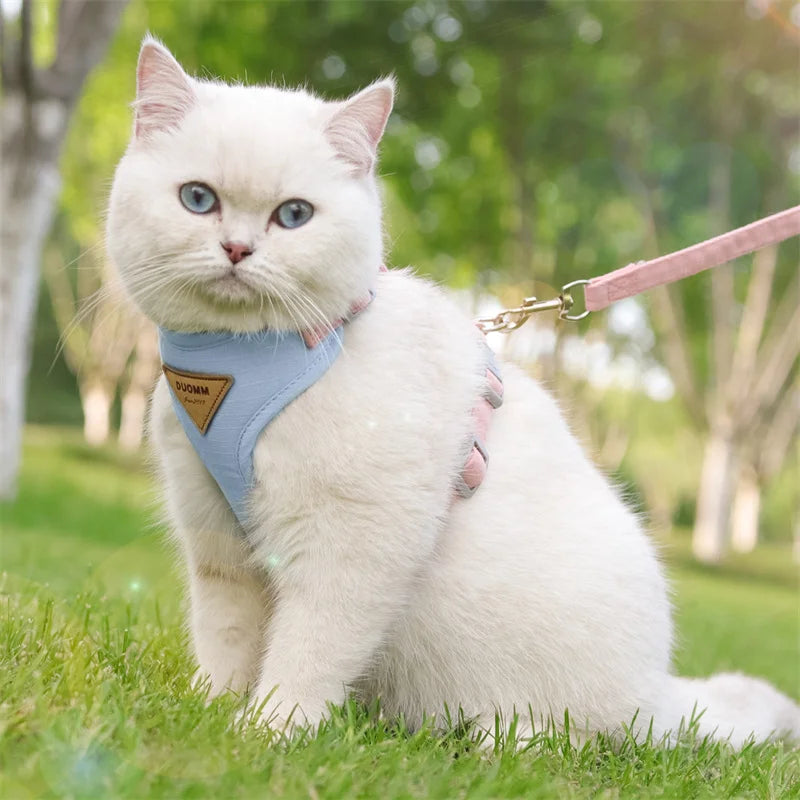 Breathable Pet Harness & Leash Set for Cats & Small Dogs