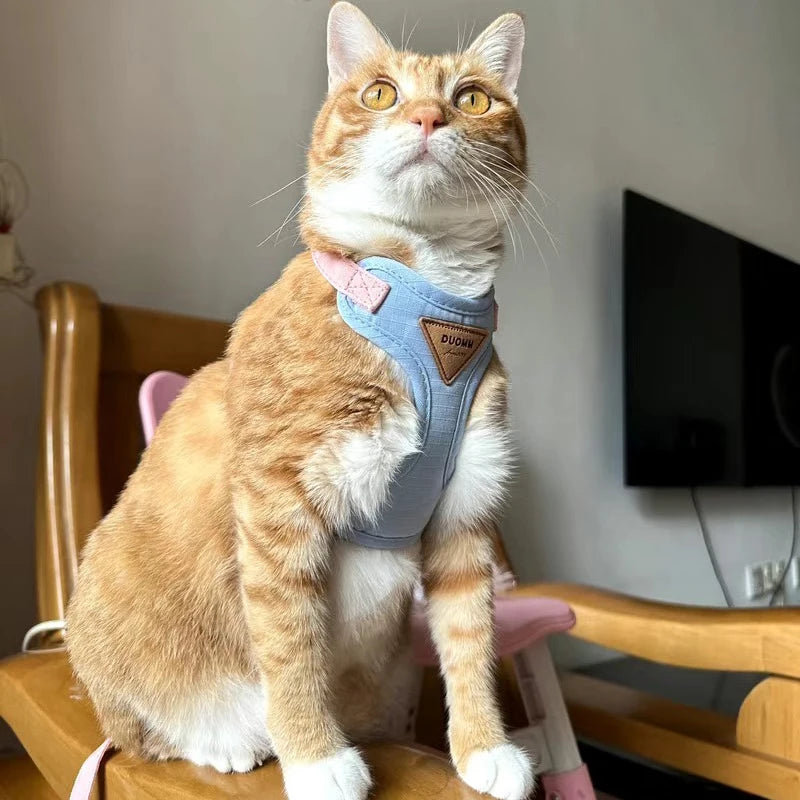 Breathable Pet Harness & Leash Set for Cats & Small Dogs