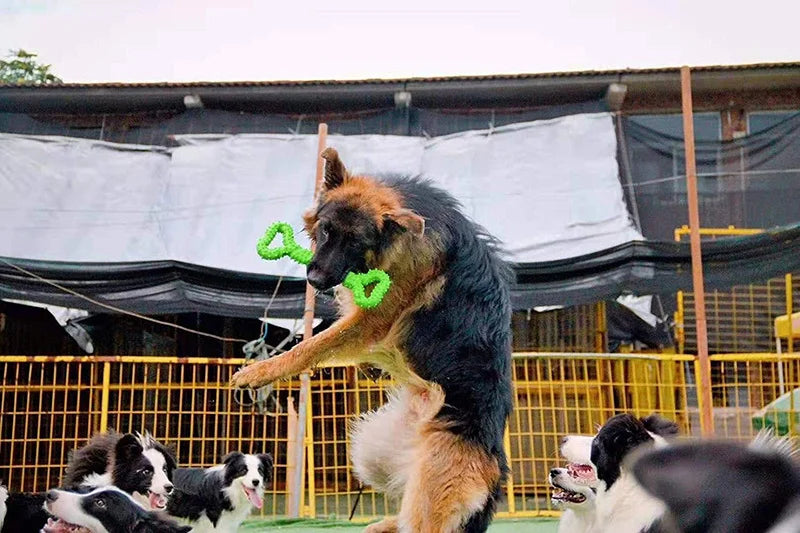 Durable Chew Sticks for Large Dogs