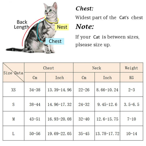 Breathable Pet Harness & Leash Set for Cats & Small Dogs