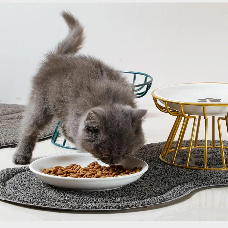Elevated Ceramic Pet Bowl with Metal Stand