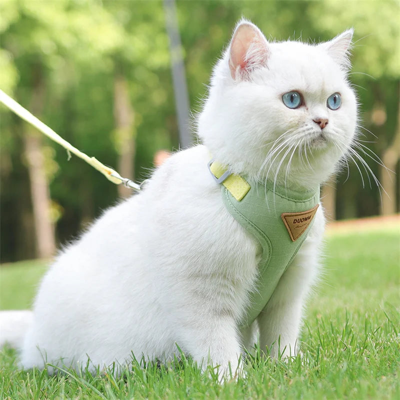 Breathable Pet Harness & Leash Set for Cats & Small Dogs