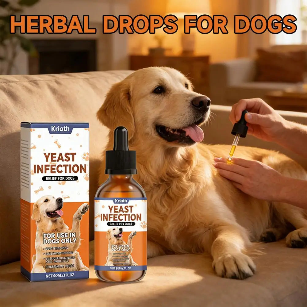 Herbal Coat & Skin Supplement Drops for Dogs (60ml)