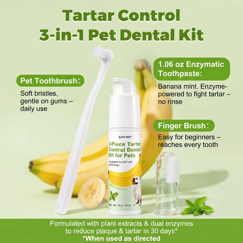 3-Piece Dental Care Kit (Banana Mint)