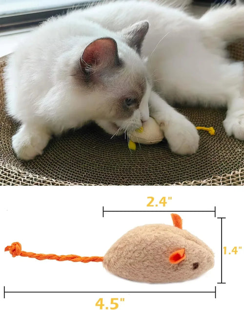 Catnip Mouse Toys, 5-Pack
