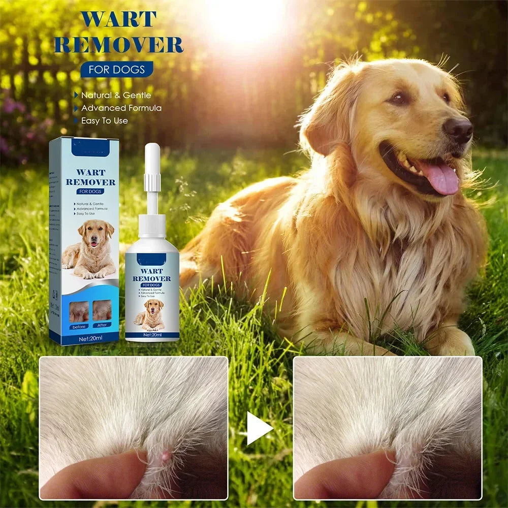 Daily Moisturizing Skin & Coat Liquid